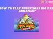 How To Play Christmas Big Bass Bonanza | Fortune Wins Blog