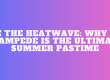 Why Fire Stampede Is the Ultimate Summer Pastime